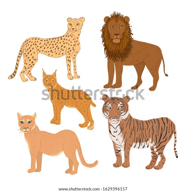 Set Cartoon Feline Animals Cheetah Lion Stock Vector (Royalty Free ...