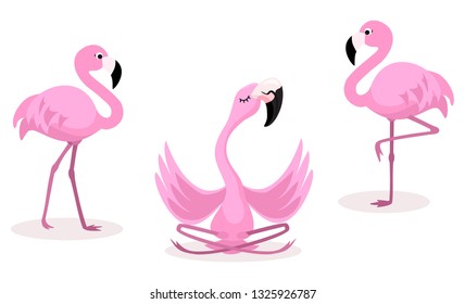 Set of cartoon flamingos isolated on white background. Vector illustration.