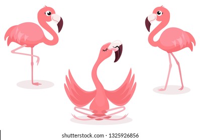 Set of cartoon flamingos isolated on white background. Vector illustration.