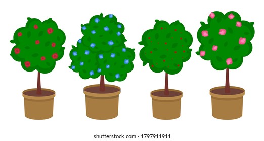 Set of cartoon flowering trees or bushes. Red and blue flowers, dense foliage, potted plant. Growing plants and trees, urban landscaping. Indoor plant. Fluffy tree in flowerpot. Flat vector image