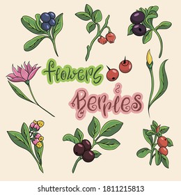 Set of cartoon flowers. Berries and flowers icons. Set of illustrations. Summer season. Food logo.