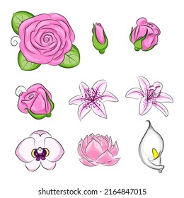 Set of cartoon flowers Pink lily Orchid Water lily and Kala vector illustration