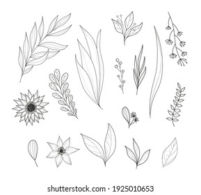 set with cartoon flowers,  twigs. Colorful vector flat style illustration. design for cards, prints, posters, cover