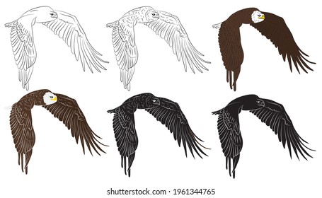 Set of Cartoon flying wild eagle in isolate on a white background. Vector illustration.
