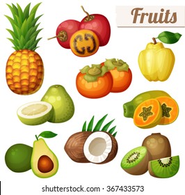 Set of cartoon food icons isolated on white background. Exotic fruits. Pineapple (ananas), tamarillo, quince, persimmon, papaya (pawpaw), pomelo, avocado, coconut, kiwi