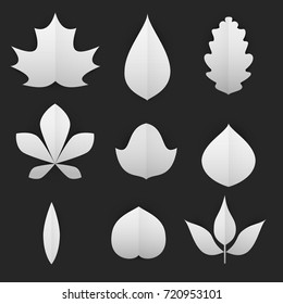 Set of cartoon forms leafs in paper cut trendy craft style. Modern design for advertising, branding greeting card, cover, poster, banner. Vector illustration.