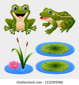 Set of cartoon frog and water lily