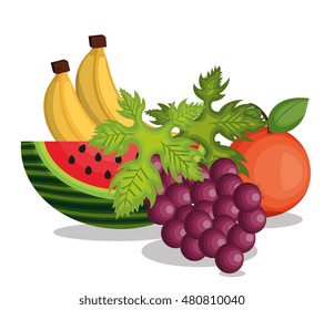 set cartoon fruits tropicals design