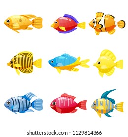 Set cartoon Funny fish vector characters. Colorful coral reef tropical fish set vector illustration. Sea fish collection isolated on white background. Isolated