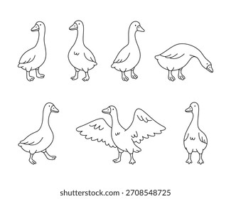 Conjunto de gansos de dibujos animados en posiciones para caminar, pararse y picotear
