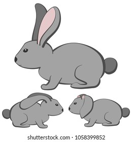 Set of cartoon gray rabbits with different type of ears. Vector illustration isolated on white background.