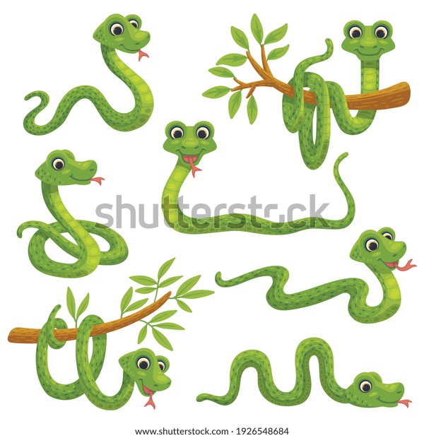 さまざまなポーズのカートーングリーンヘビのセット かわいい笑顔の動物 野生の熱帯性の変な爬虫類 子ども向けの平らなベクター画像イラスト のベクター画像素材 ロイヤリティフリー