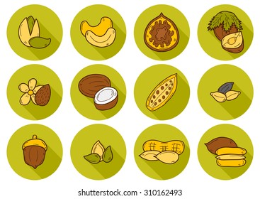 Set of cartoon hand drawn objects on nuts theme: hazelnut, pumpkin and sunflower seeds, peanut, pecan, pistachio, cashew, walnut, acorn, almond, coconut, cocoa. Raw healthy food concept