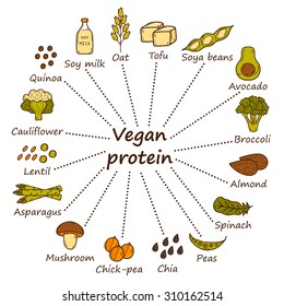 Set of cartoon hand drawn objects on vegan protein source theme: tofy, soya beans and milk, quinoa, lentil, chia. Healthy vegetarian food concept