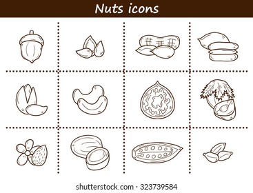 Set of cartoon hand drawn objects on nuts theme: hazelnut, pumpkin and sunflower seeds, peanut, pecan, pistachio, cashew, walnut, acorn, almond, coconut, cocoa. Raw healthy food concept