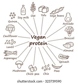 Set of cartoon hand drawn objects on vegan source of protein theme: tofy, soya beans and milk, quinoa, lentil, chia. Healthy vegetarian food concept for your design