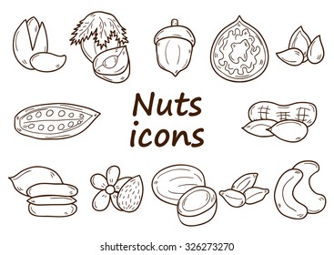 Set of cartoon hand drawn objects on nuts theme: hazelnut, pumpkin and sunflower seeds, peanut, pecan, pistachio, cashew, walnut, acorn, almond, coconut, cocoa. Raw healthy food concept