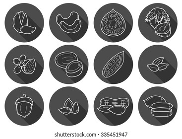 Set of cartoon hand drawn objects on nuts theme: hazelnut, pumpkin and sunflower seeds, peanut. Raw healthy food concept