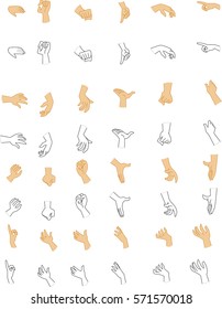 Set Cartoon Hands Stock Vector (Royalty Free) 571570018 | Shutterstock