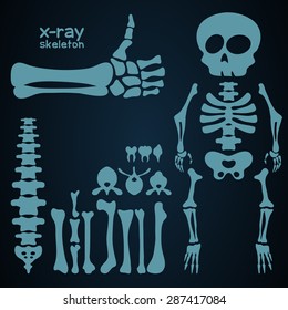 Set Of Cartoon Human Bones, Skeleton Parts