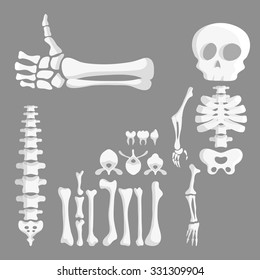 set of cartoon human bones, skeleton parts