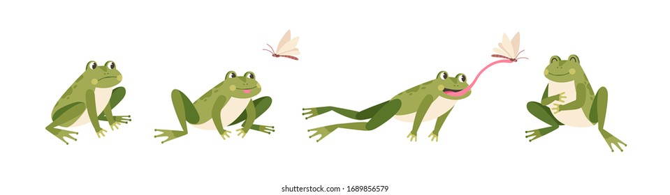 Set of cartoon hungry frog sad, smile, resting and hunting isolated on white background. Funny toad jump catch butterfly by tongue vector flat illustration. Collection of colorful cute amphibian