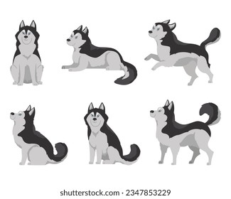 Set of cartoon husky dogs with blue eyes. Happy domestic husky puppy sitting, lying, jumping playing flat vector illustration. Different poses of husky animal characters