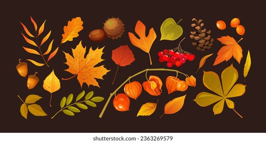 Conjunto de íconos de dibujos animados con hojas de otoño, bayas, pinos, castaño y fisalis