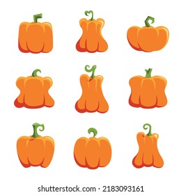 A set of cartoon icons pumpkin. Vector collection of cute hand drawn pumpkins on white background. Elements for autumn decorative design, halloween invitation, harvest thanksgiving.
