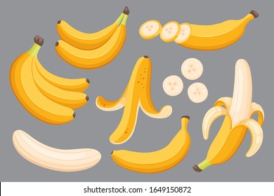 Set of cartoon illustration yellow bananas. Single, banana peel and bunches of fresh banana fruits.