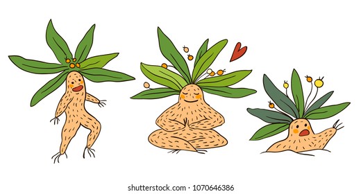 Set of cartoon illustrations, three mandrake roots. Cute vector characters, design elements.