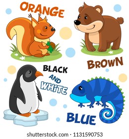Set of cartoon illustrations of wild animals, birds and reptiles for children and design, orange squirrel with walnut, brown bear, black and white penguin on the ice floe and blue iguana.