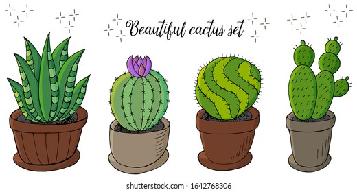 Set of cartoon images of cacti. Cacti, aloe, succulents. Collection Decorative natural elements