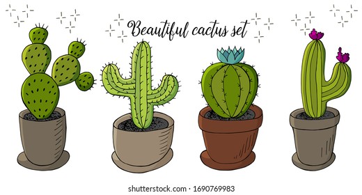 Set of cartoon images of cacti. Cacti, aloe, succulents. Collection Decorative natural elements