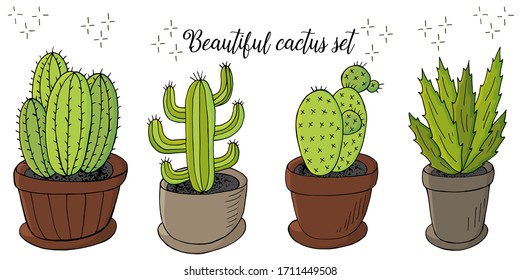 Set of cartoon images of cacti. Cacti, aloe, succulents. Collection Decorative natural elements