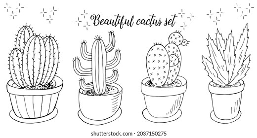 Conjunto de imágenes de dibujos animados de cactus. Cacti, aloe, suculentos. Colección Elementos naturales decorativos