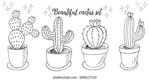 Set of cartoon images of cacti. Cacti, aloe, succulents. Collection Decorative natural elements