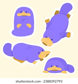 A set of cartoon images of platypuses in different poses of pale purple colour.