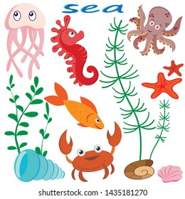 set of cartoon images of sea inhabitants : jellyfish, seahorse, fish, octopus, crab, seaweed and shells, isolated on white background