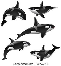 Set Of Cartoon Killer Whales Show On White