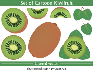 Set of cartoon kiwi vector. Whole, half, and slices fresh kiwifruits on isolated white background. Well organized Eps 10 file format.