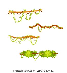 Conjunto de lianas de dibujos animados cubiertos con hojas verdes, colgando de ramas, Elementos de diseño de la selva sobre fondo blanco