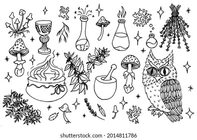 Set of Cartoon Magic Witchcraft accessories with mushrooms vectors. Alchemy Collection with owl, nettle, mortar, fern, test tubes, bowl, boiling cauldron, potion. Esoteric and mystery symbols