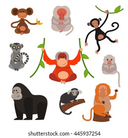 Set of cartoon monkeys vector illustration