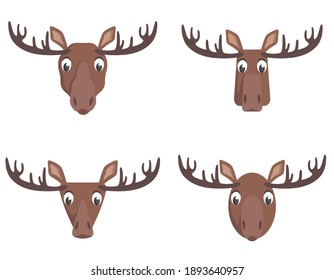 Set of cartoon moose. Different shapes of animal heads.