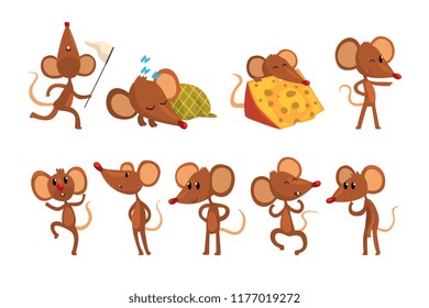 Set of cartoon mouse character in different actions. Running with sweep-net, sleeping, eating cheese, jumping, winking eye. Little brown rodent. Flat vector design