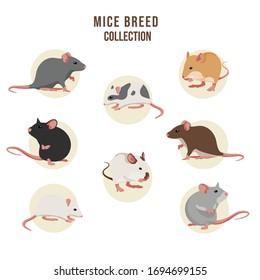Set of cartoon mouse character in different actions.
