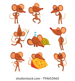 Set of cartoon mouse character in different actions. Running with sweep-net, sleeping, eating cheese, jumping, winking eye. Little brown rodent. Flat vector design