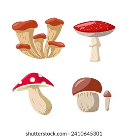 Set Cartoon mushrooms isolated vector illustration . Forest wild mushrooms types. Organic poisonous fungus