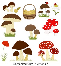 Set of cartoon mushrooms on white background
